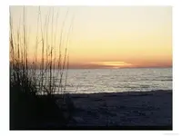 447915~Sunset-on-Sanibel-Island-Gulf-Coast-of-FL-Posters.webp
