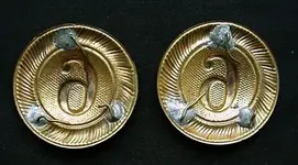 CircletsA2[1].webp