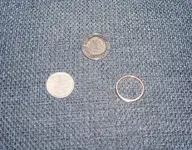 Findings.webp