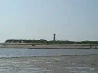 CIMG0504.webp