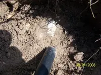 sept finds 005.webp