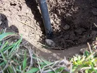 sept finds 008.webp
