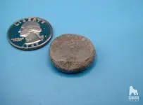 P1001235_WM.jpg