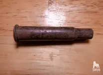 P1001255_WM.webp