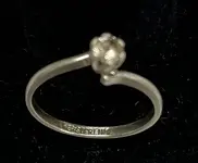 ring1.webp