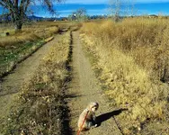 mitchell 4 (1).webp