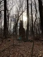 blue anomaly #1.webp