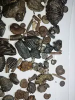 IMG-20231227-WA0001.webp