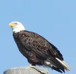 DSCN0667.webp