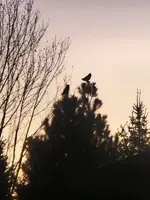 20231229_065521.webp