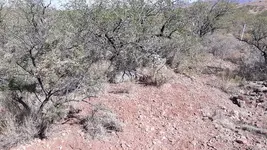20201016_105122.webp