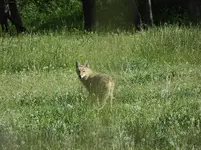 bike ride 060516 3.webp