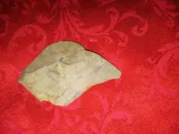 IMG_20240108_191937342.webp