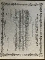 Divers Cert.webp