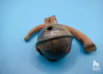 P1001280_WM.webp