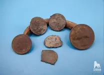 P1001282_WM.webp