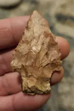 20240120_190002.webp