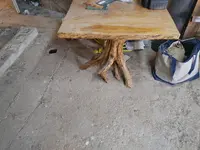 Alligator Juniper Table 2.webp