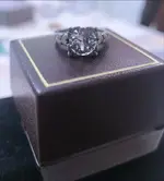 Ring-00.webp