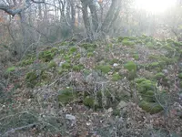 DSCN0035.webp