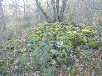 DSCN0039.webp
