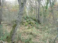 stones 2.webp