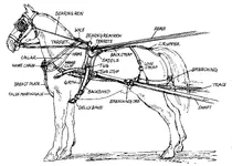 horsegear_diagram_parts-of-wagonhorseharnes_TN_postedbyOldPueblo_Horse%20Tack.webp