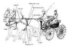 horsegear_buggy-harness-charts-pair_TN_postedbyVillagenut_20171126_.webp