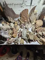 20240203_171743.webp