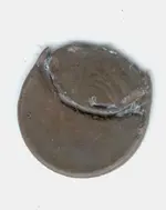penny off stikre error front 1.webp