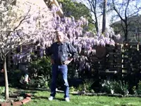 dad1.webp