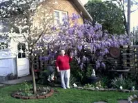 mar31_10[1]mom.webp