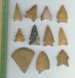 Paleo4.webp