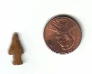 tiny, mound 1.webp