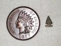 tiny 001 (824 x 618).webp