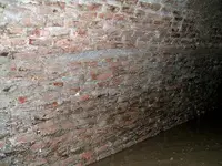 tpictures 271.webp