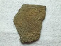 tiny 010 (824 x 618).webp