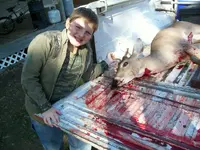 100_0647.webp