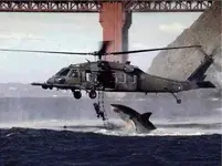 shark-helicopter.webp