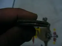 PIC00043.webp