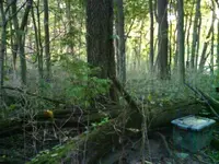 geocache local.webp