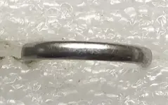 Platinum ring.webp