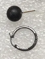Earrings.webp