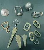 recent finds 2024.webp