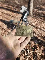 eagle belt plate 2nd one.webp