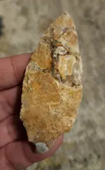 20240213_233341.webp