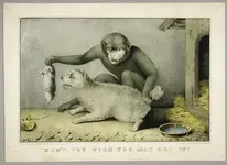 dontyouwish2.webp