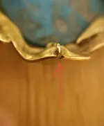 20240215_052414.webp