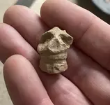 skull carved sharps.webp