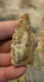 20240223_114130.webp